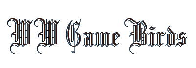 WW Game Birds